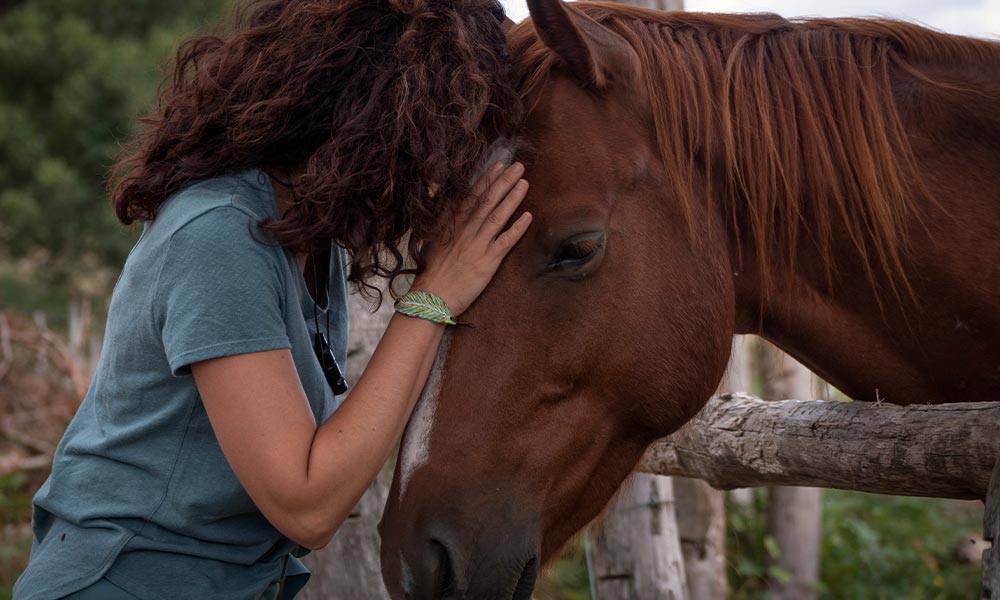 Female patient petting a beautiful brown horse holding her head to hers showing the types of activities patients experience during equine therapy for addiction.